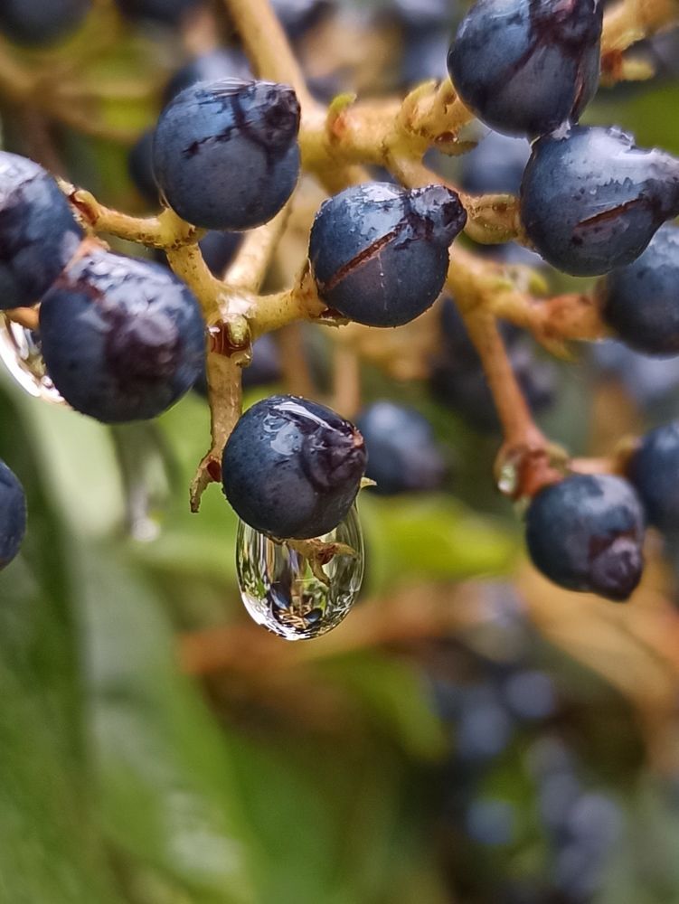 Photograph by Тихонова Ольга