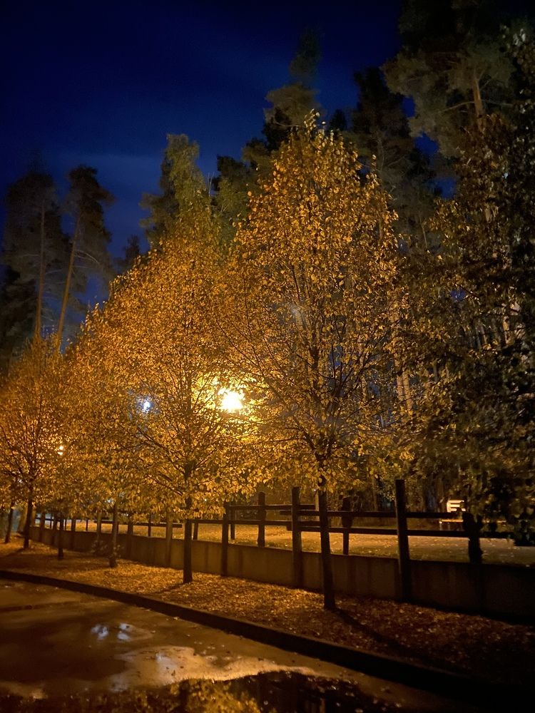 Photograph by Юлия