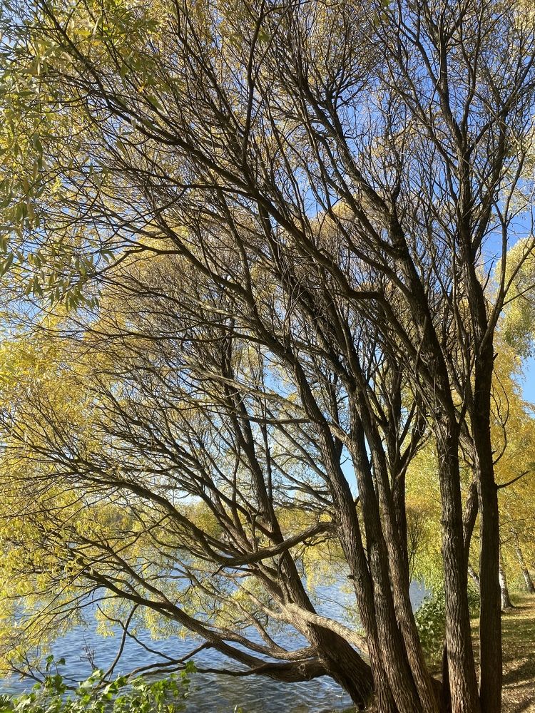 Photograph by Юлия