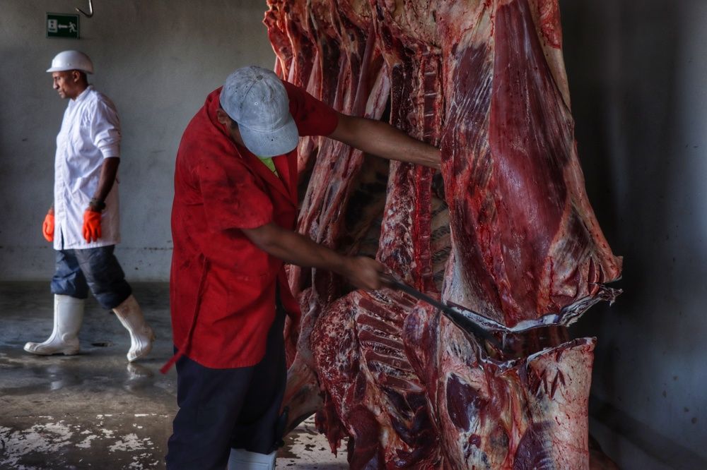 Photograph by Colmenarez nileydi