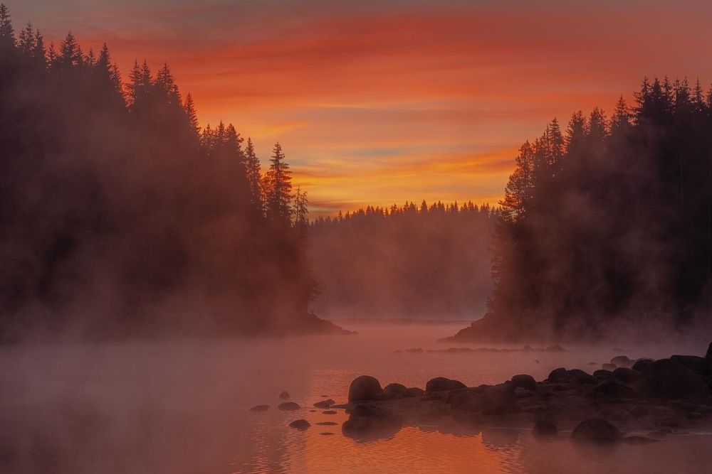 Photograph by Димитър Митрев