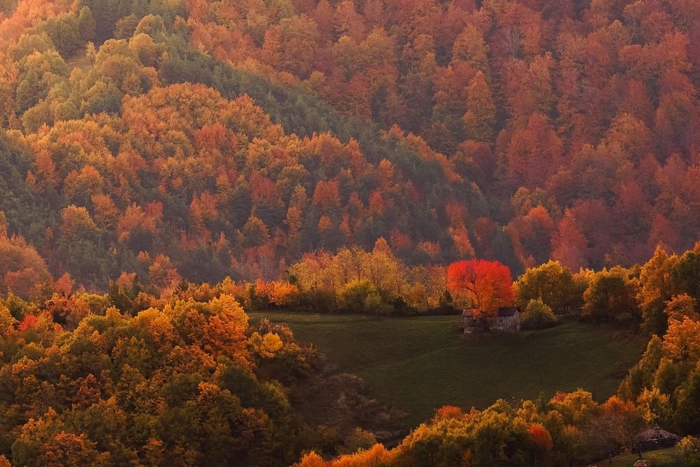 Photograph by Димитър Митрев