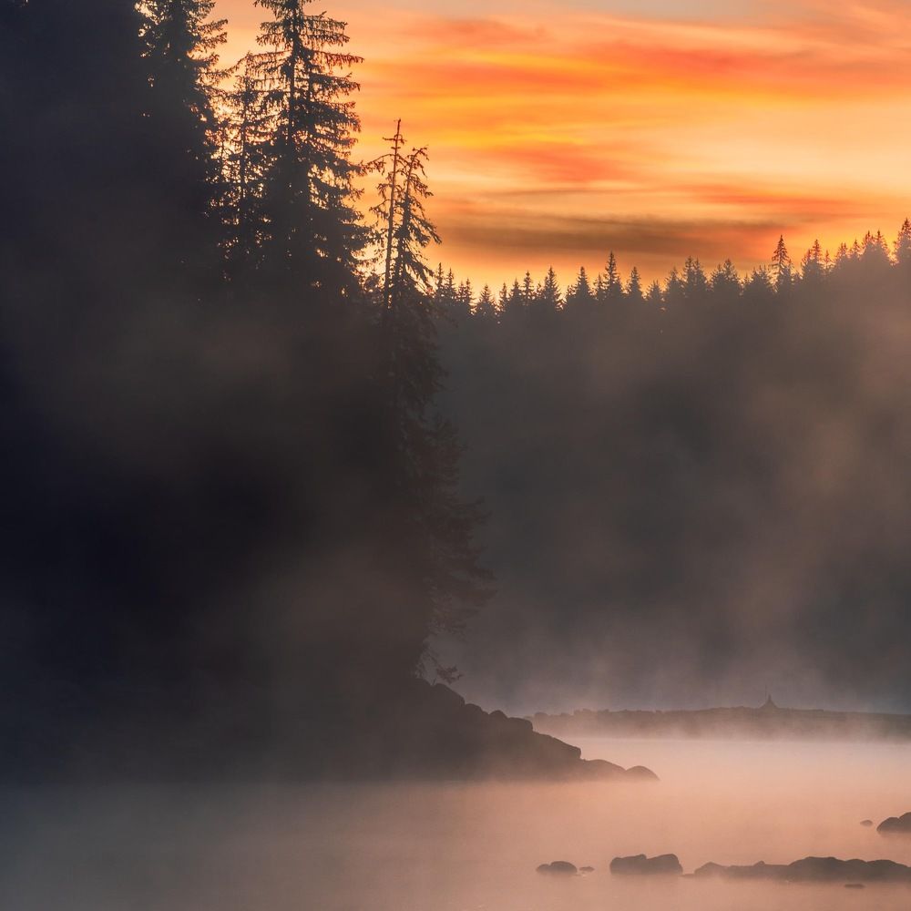 Photograph by Димитър Митрев