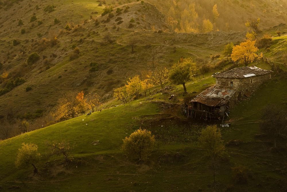 Photograph by Димитър Митрев