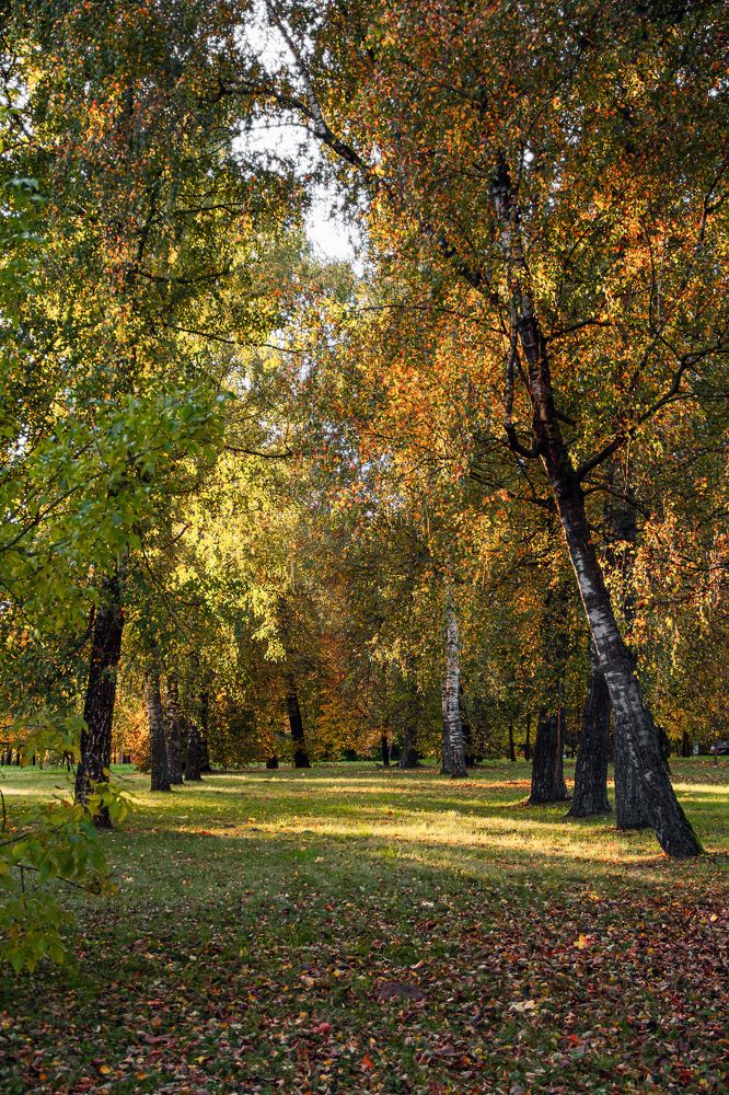 Фотография автора Ирина Яздан Мехр