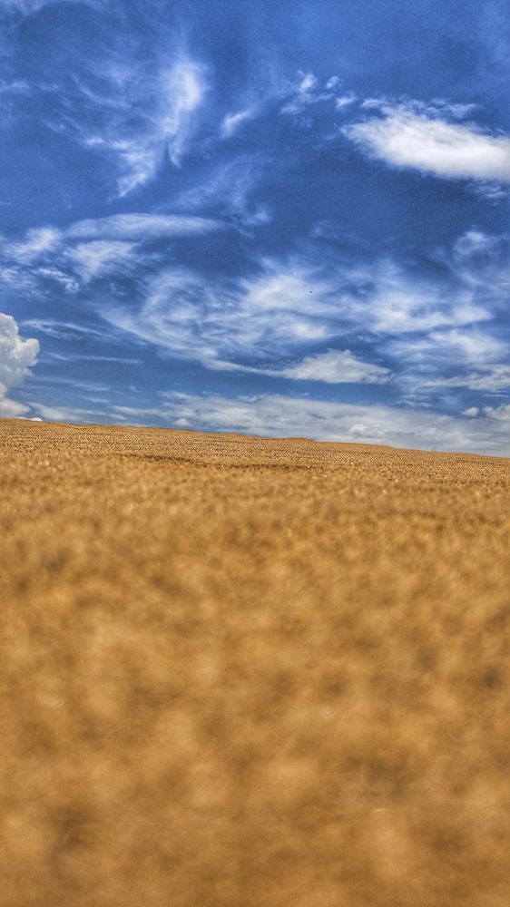 Photograph by Colmenarez nileydi