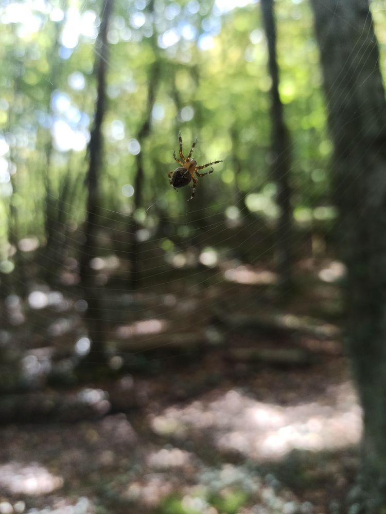 Photograph by Aleksey