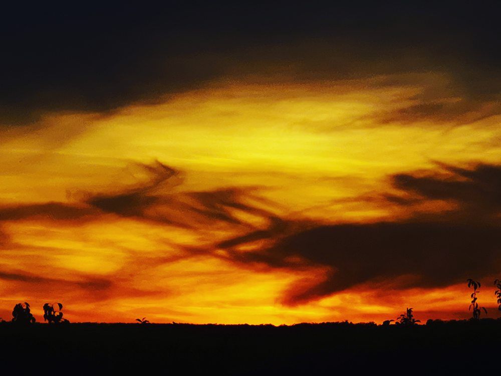 Photograph by Nikolett Mengyi