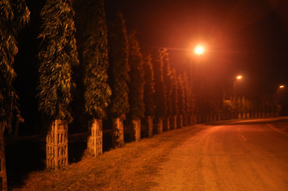 Photograph by SHARMA SANDEEP KUMAR SHARMA