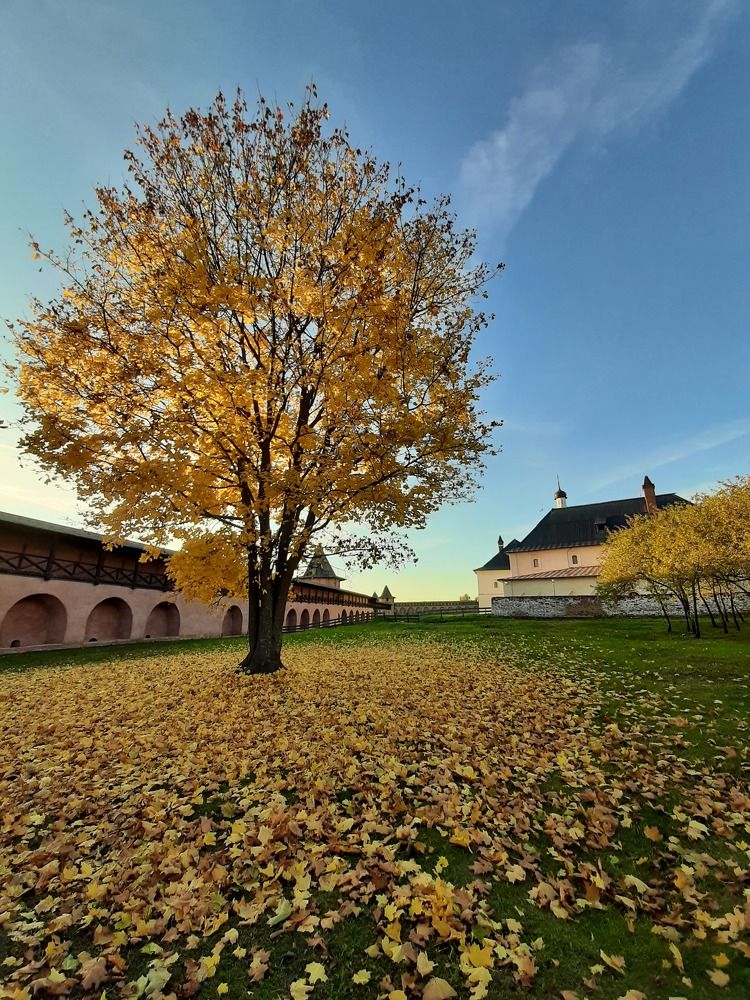 Photograph by Марина Алёшина