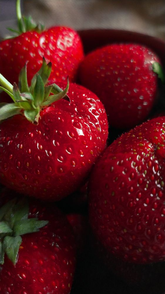 Фотография автора Ирина Яздан Мехр