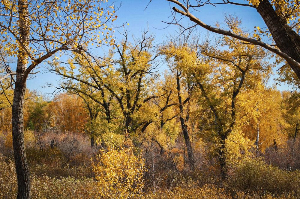 Photograph by Андрей Астафьев