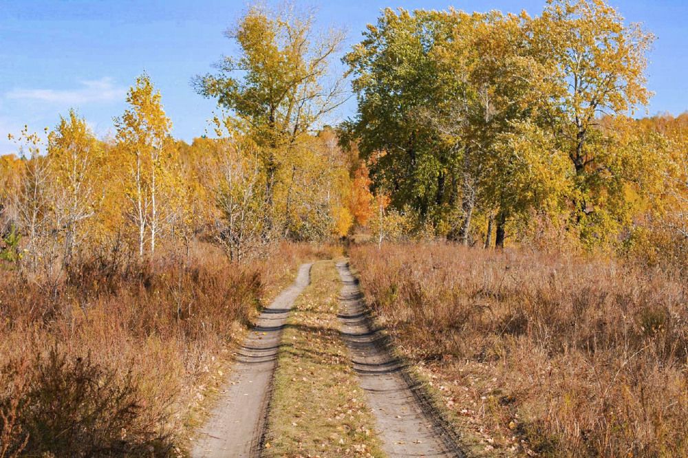 Photograph by Андрей Астафьев