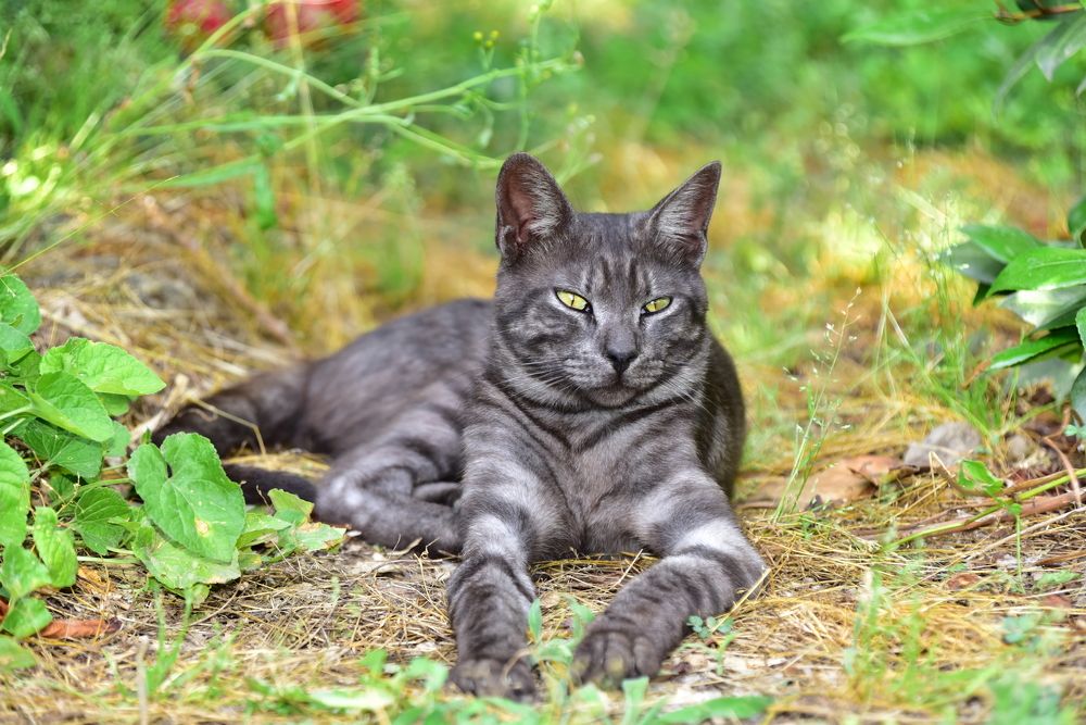 Photograph by Светлана Ивановна