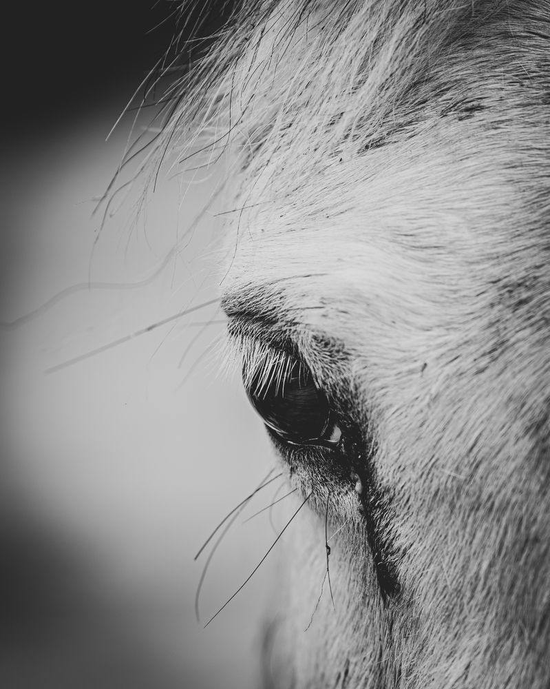 Photograph by Giacomo Giannelli