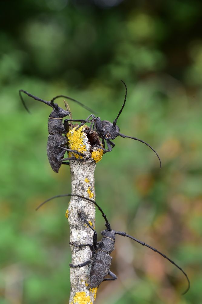 Photograph by Светлана Ивановна