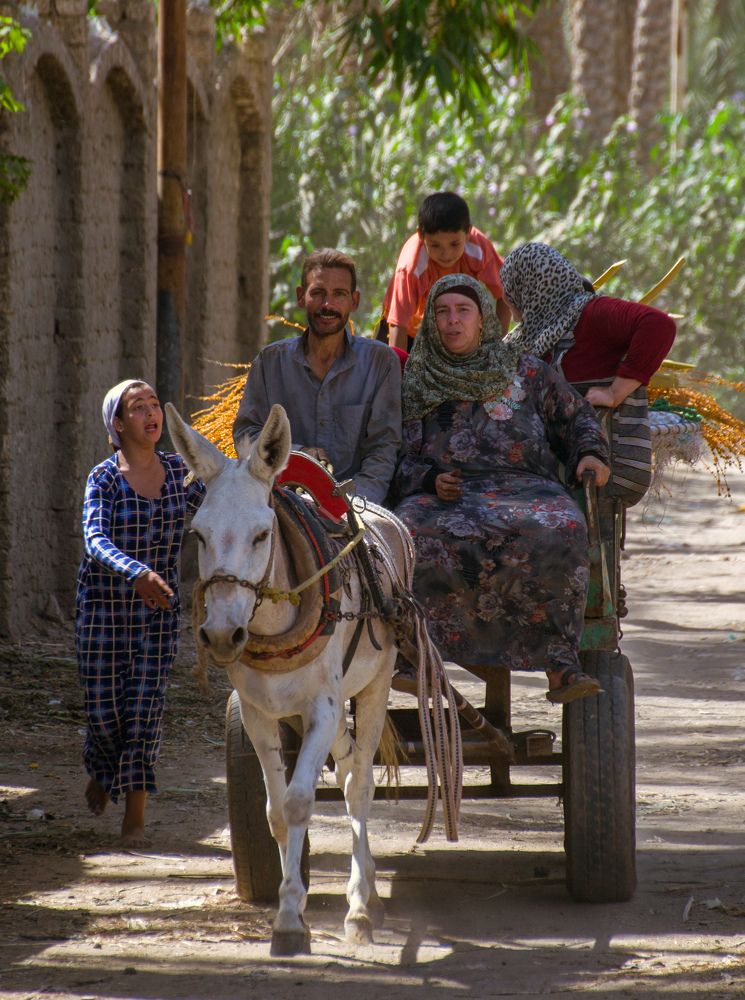 Фотография автора Ahmed Flex