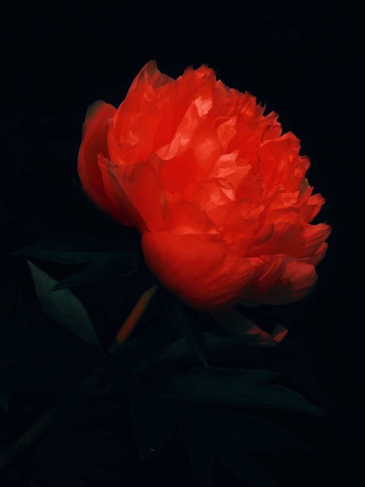Photograph by Ольга Барковская