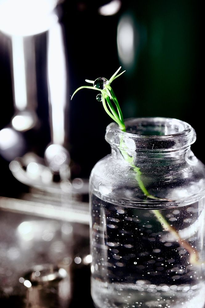 Photograph by Евгения Гудкова