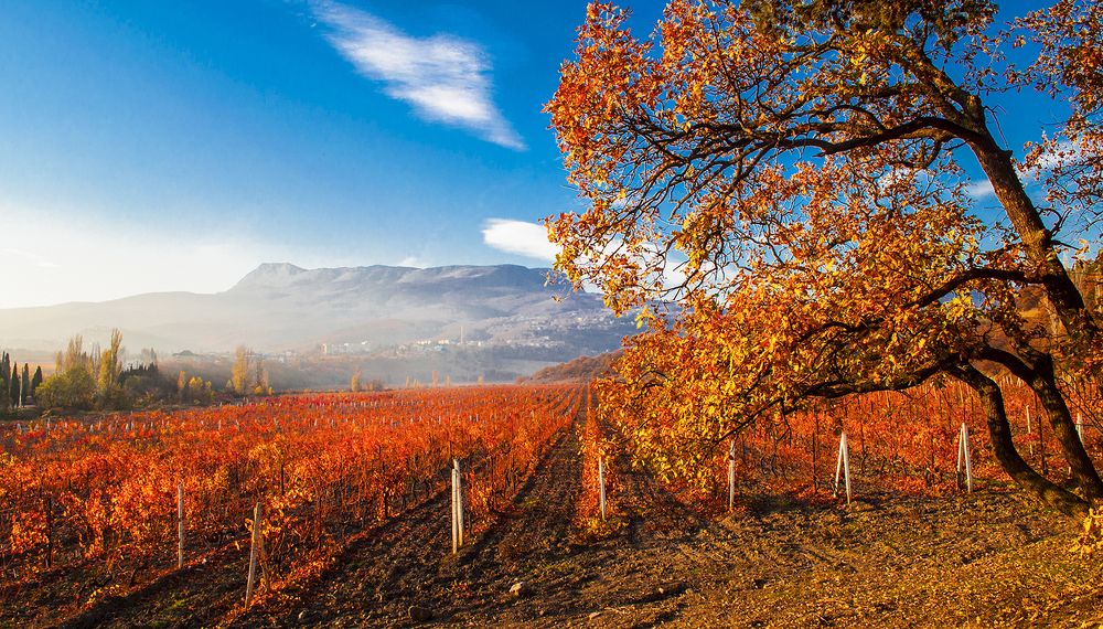 Photograph by Валерий Рябцев