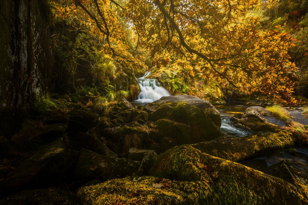 Photograph by Damian Varela