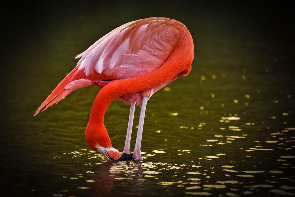 Photograph by BlogEmnet H.M.A