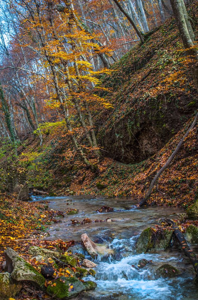 Photograph by Валерий Рябцев