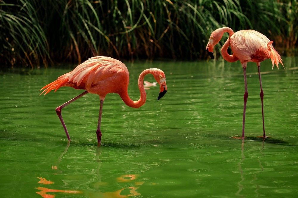 Photograph by BlogEmnet H.M.A