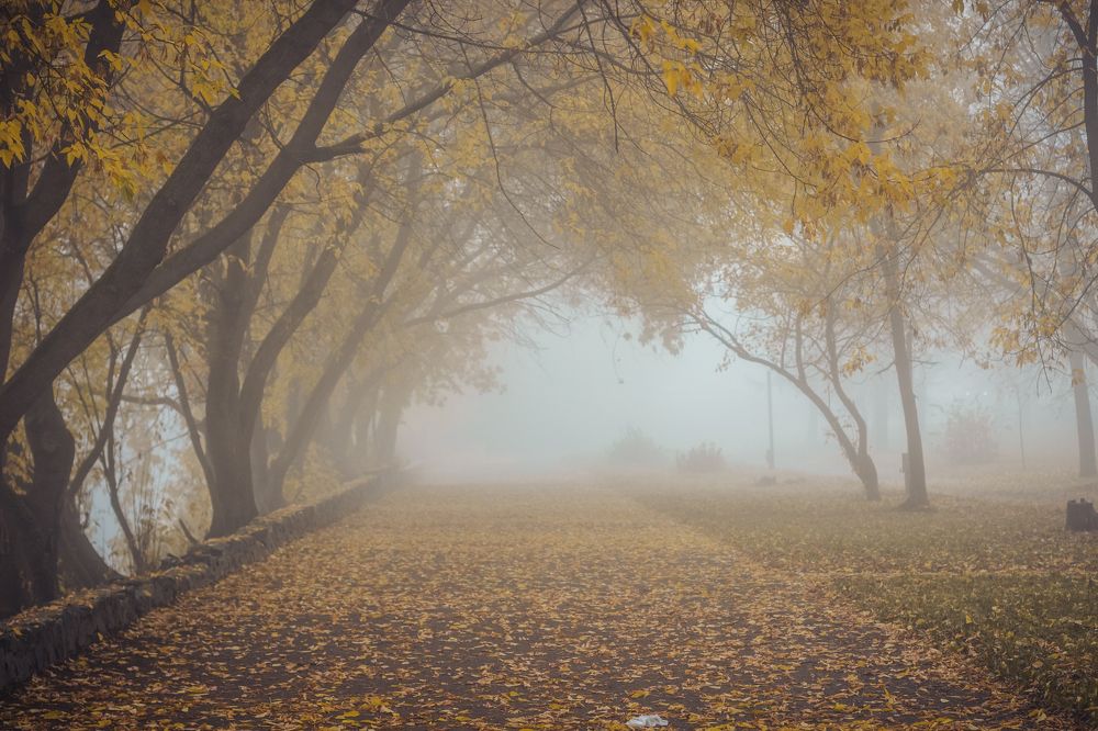 Photograph by Натали Кытманова