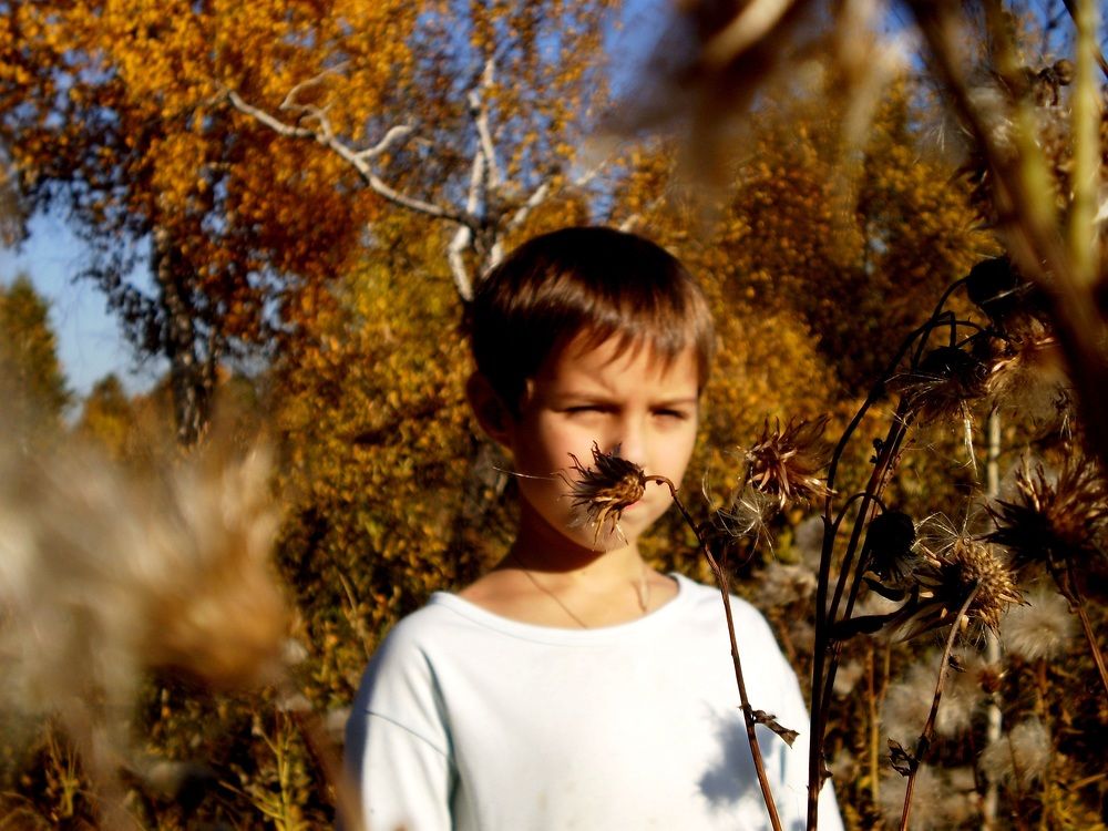 Photograph by Кадырова Анастасия