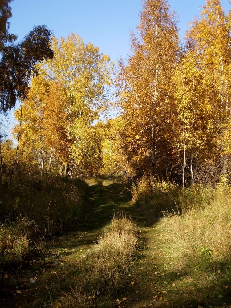 Photograph by Кадырова Анастасия