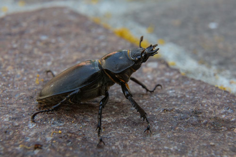 Photograph by Борис Лишневский