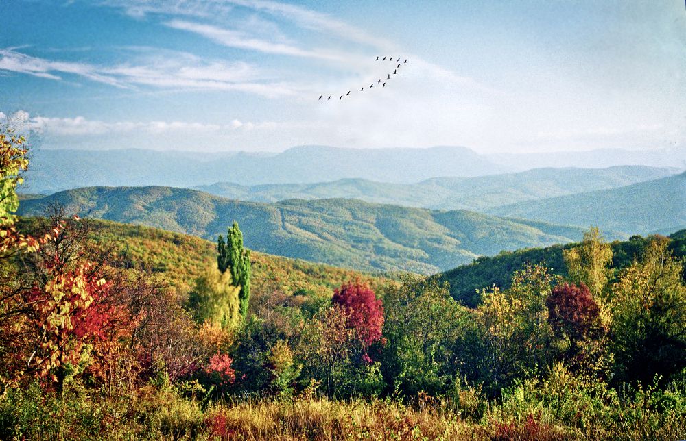 Photograph by Валерий Рябцев