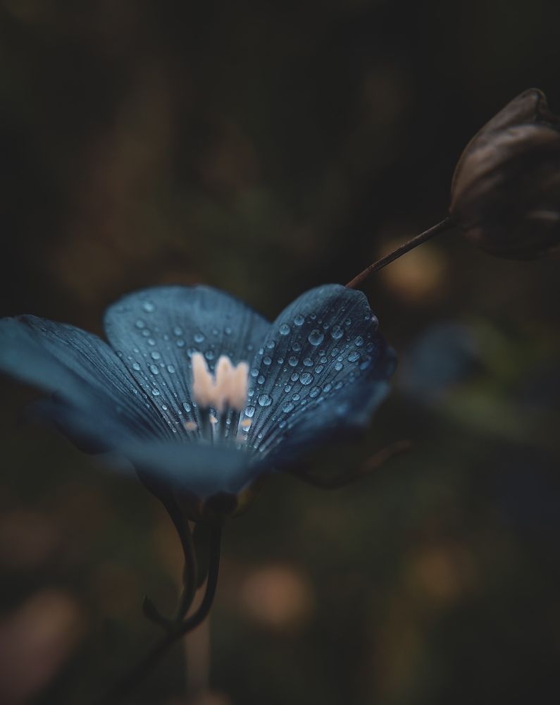 Фотография автора Юра Кладухин