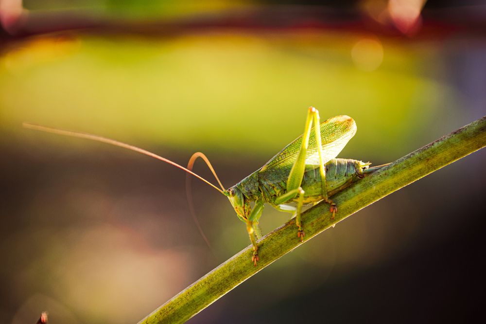 Photograph by Александр Казак