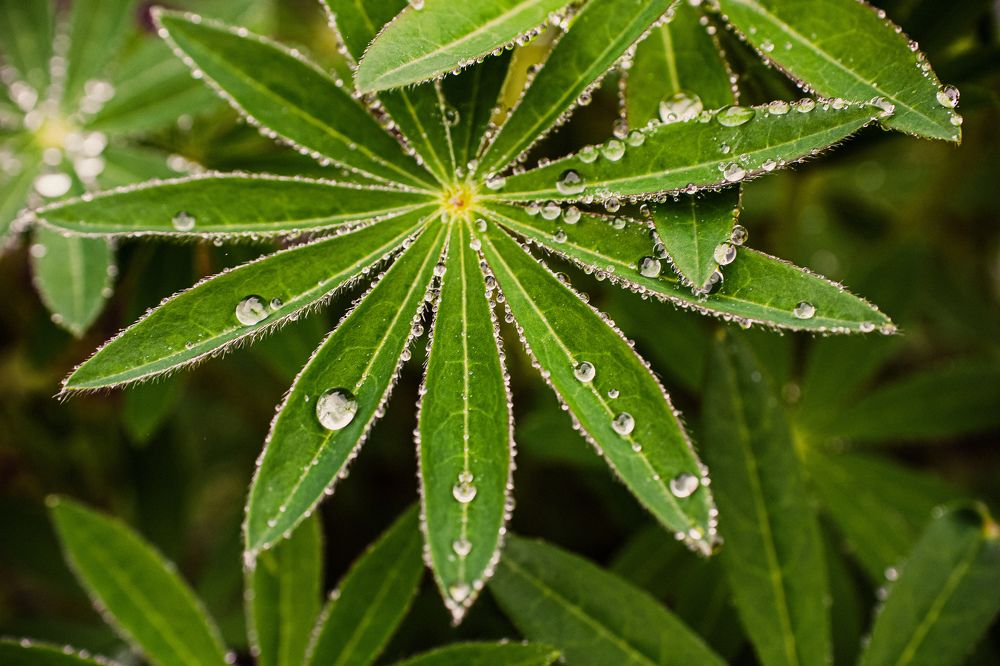 Photograph by Александр Казак