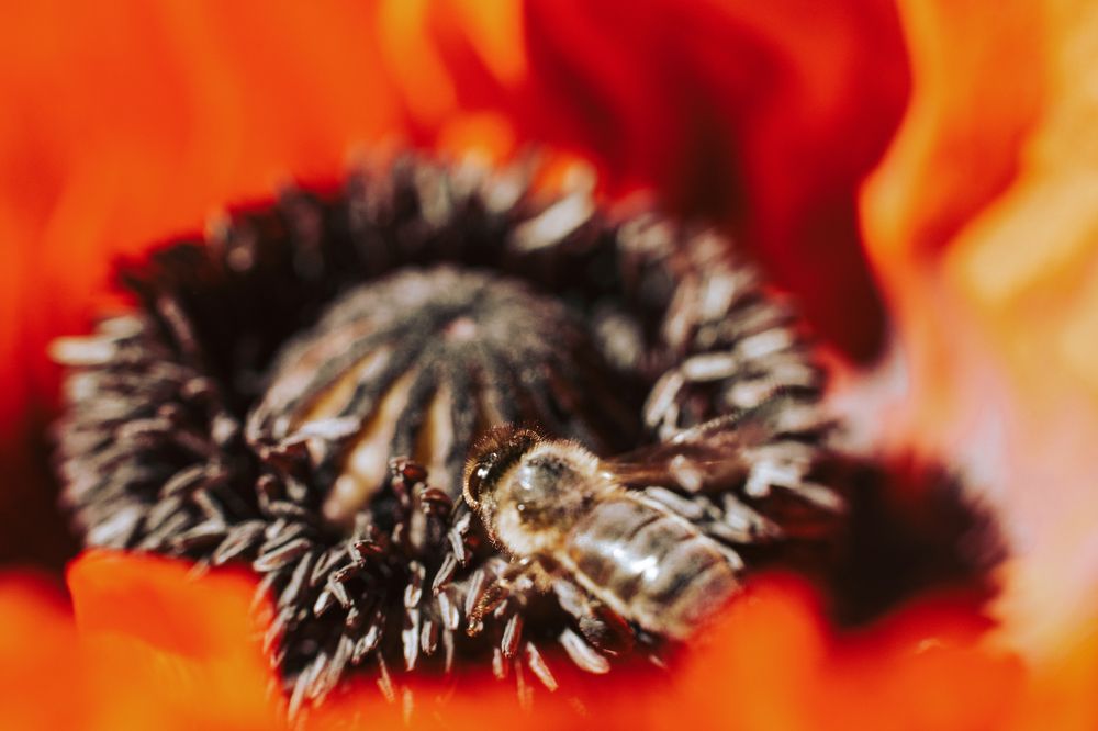 Photograph by Антон Хаткевич