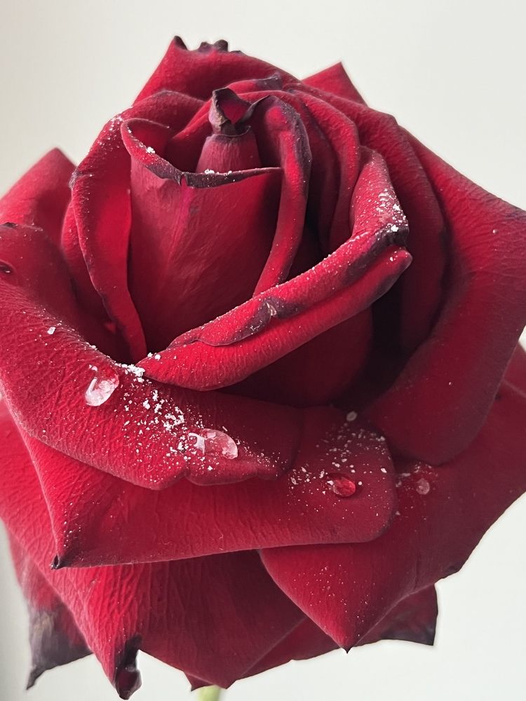 Photograph by Анастасия