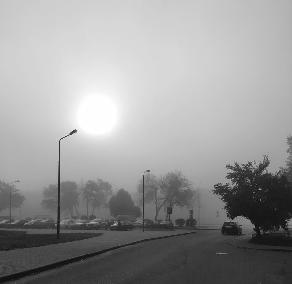 Photograph by Ирина Половцева