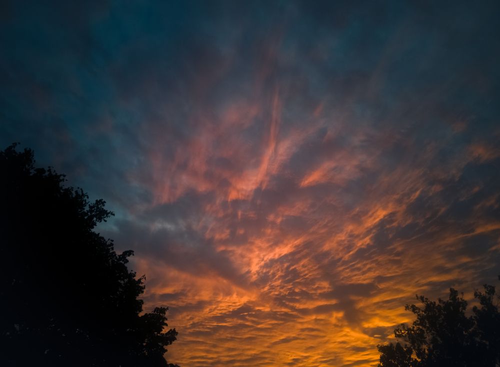 Фотография автора Nomin Jerabek