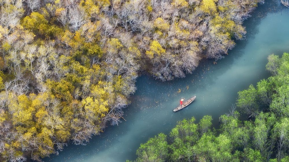 Photograph by NGUYEN HAI