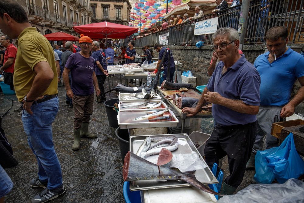 Фотография автора Dmitry Shterenberg