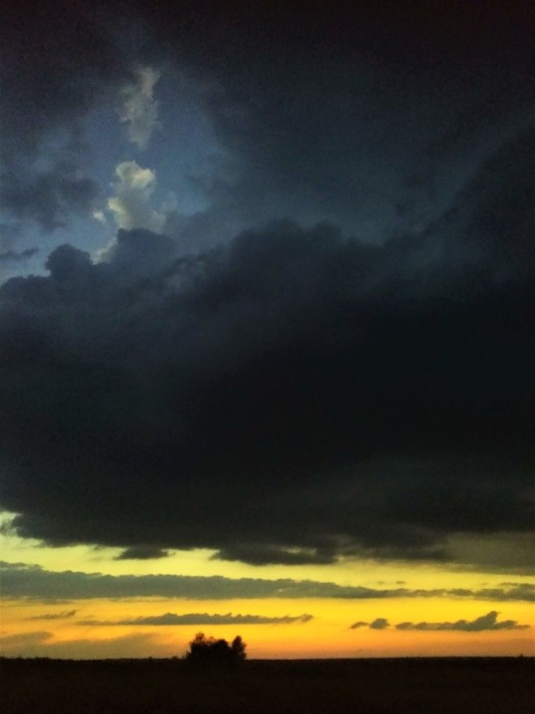 Photograph by SAFRON