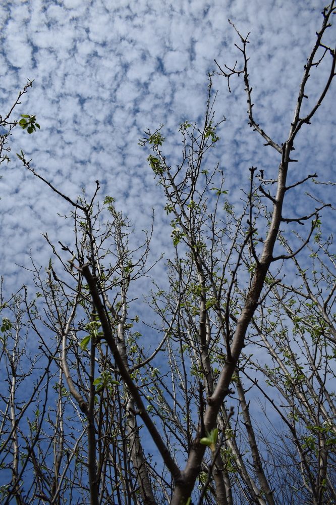 Photograph by Наталья Еременко