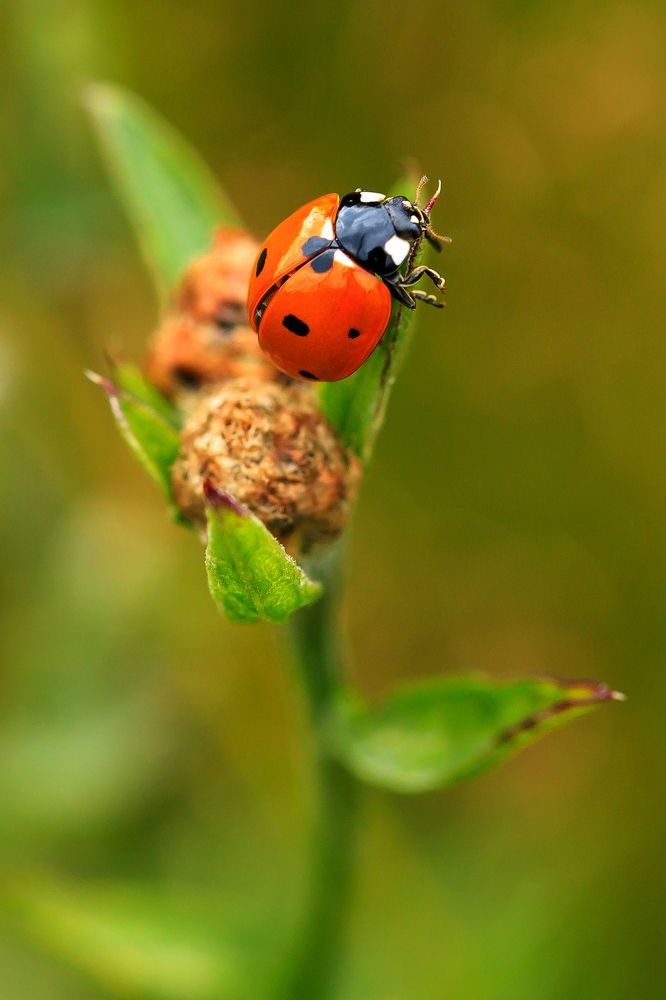 Photograph by Сергей Фомченков