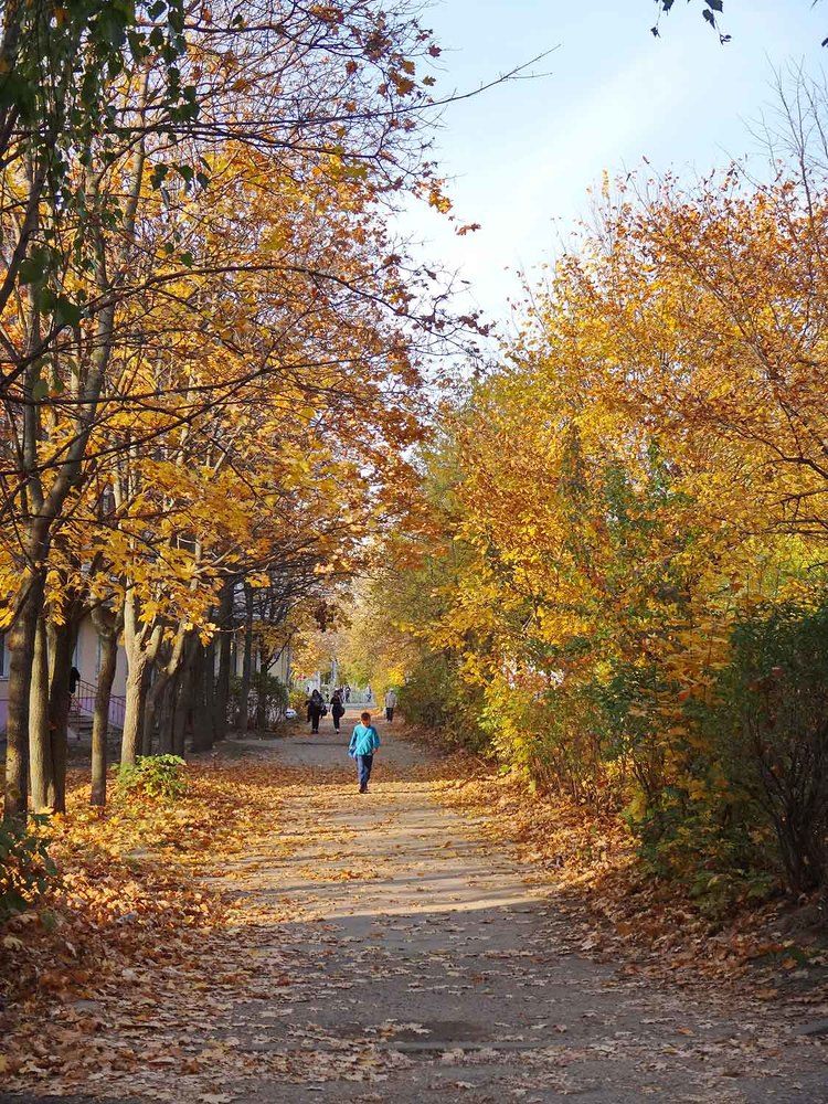 Photograph by Игорь Пшеничников