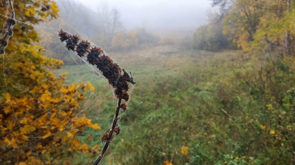 Photograph by Тимур Ушаков