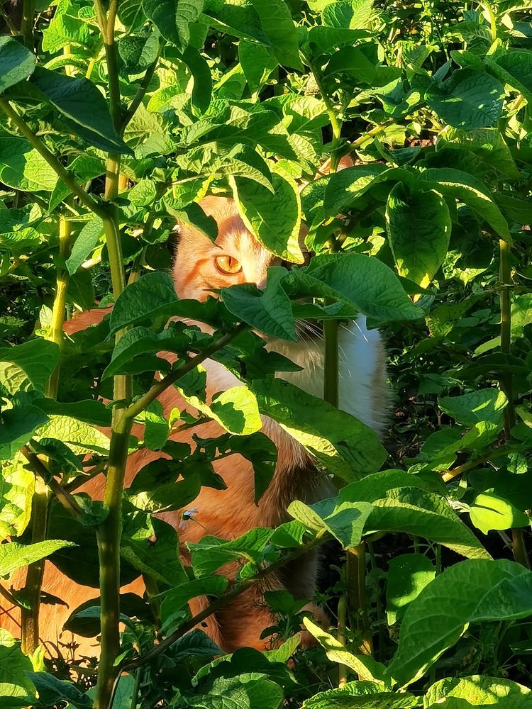 Photograph by Виолетта Юдина