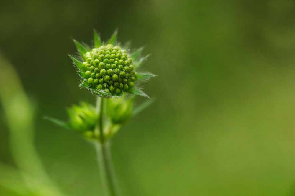 Photograph by Сергей Фомченков