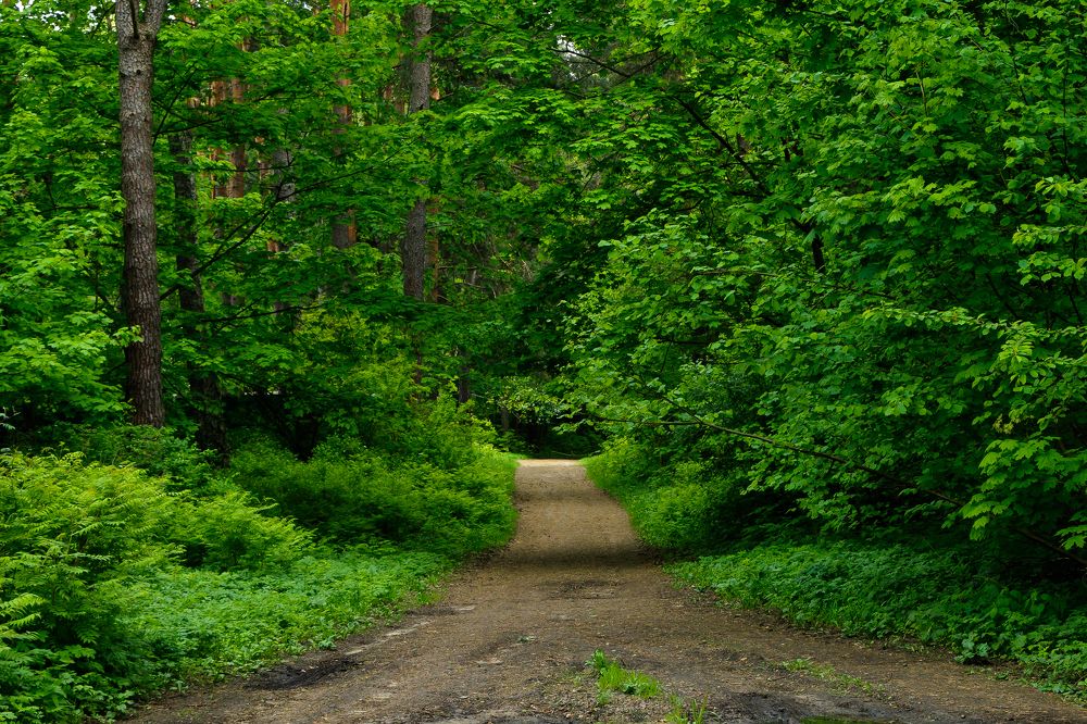 Photograph by Сергей Фомченков